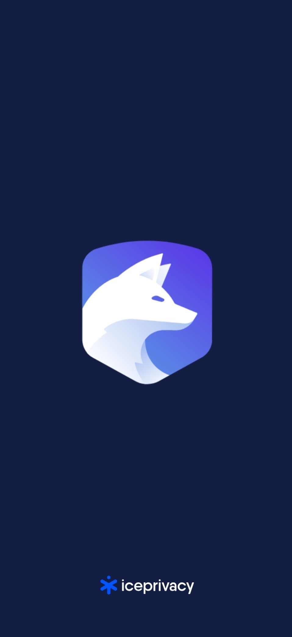 VPN Mobile App — screen 1 of 5